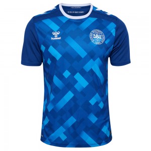 Denmark 2024 Goalkeeper Shirt - Blue