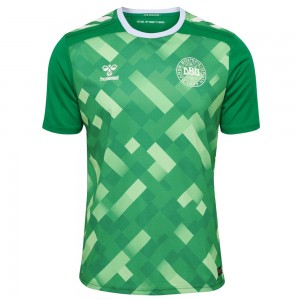 Denmark 2024 Goalkeeper Shirt - Green