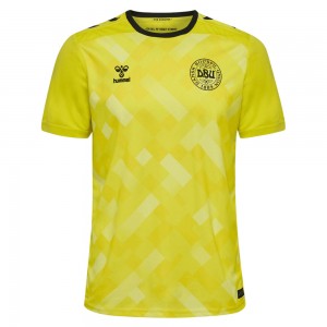 Denmark 2024 Goalkeeper Shirt - Yellow